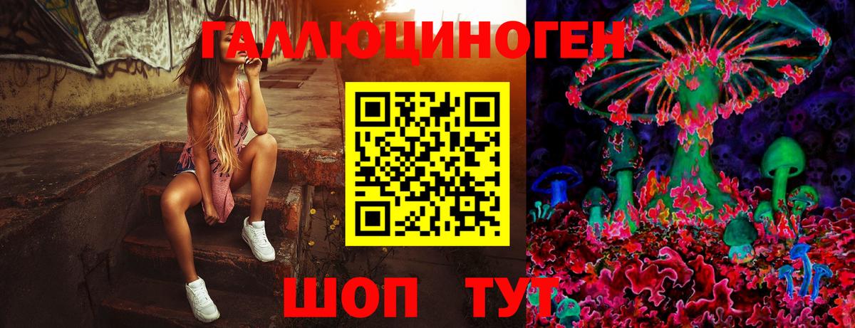Красноармейск  Псилоцибиновые грибы Psilocybe  Вход с VPN 